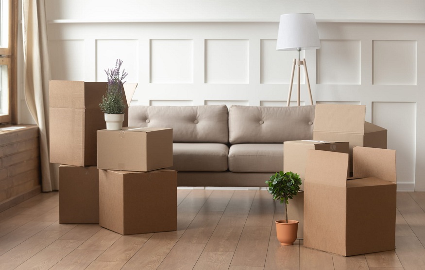 From Chaos to Calm: The Art of Organized Moving