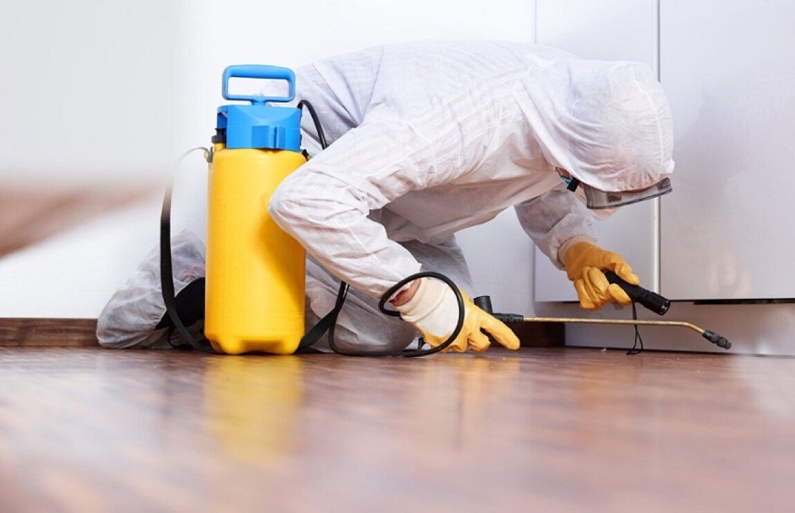 Top 5 Essential Duties of a Pest Controller in Your Locality